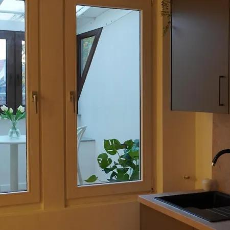 Comfort Altstadt Wintergarten Klimaanlage Apartment Ladenburg