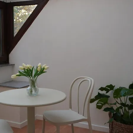 Apartment Comfort Altstadt Wintergarten Klimaanlage